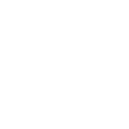 Customer_Centric Focus